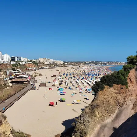 아파트 Rocha Sea View Summer 2 포티마오